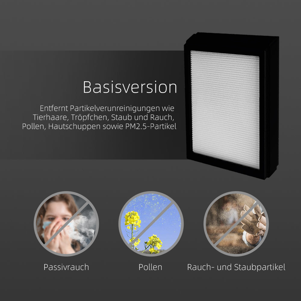 HEPA-Filter der Klasse H13（Basisversion）