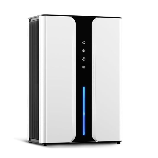 Tragbarer Entfeuchter für  Weinkeller, Kleiderschränke oder Wohnmobil H10-1